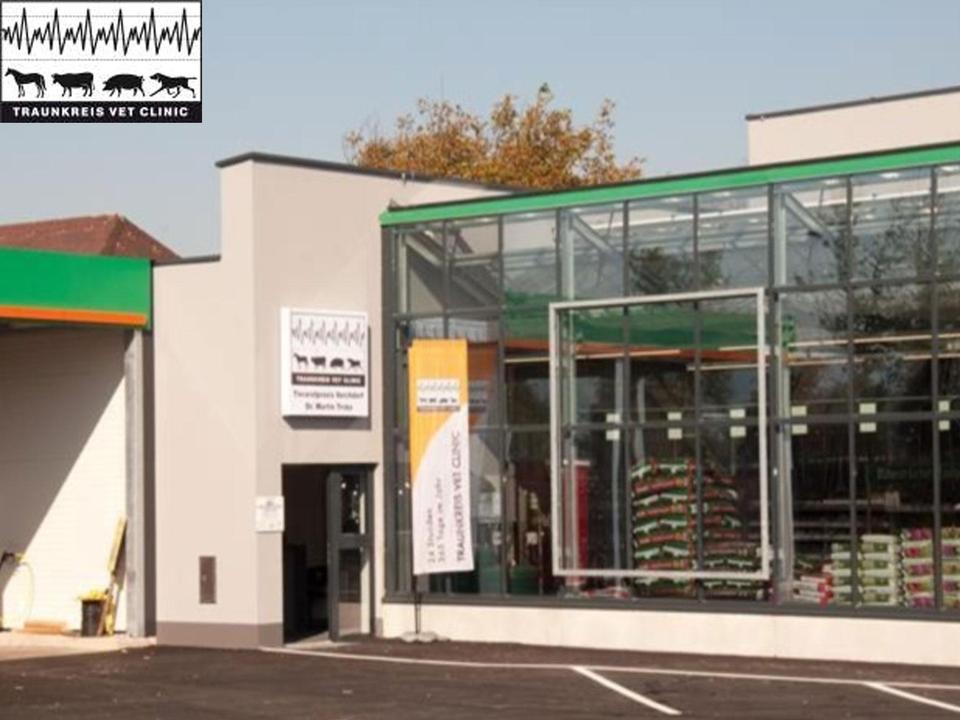 Traunkreis Vet Clinic - Tierarztpraxis Vorchdorf