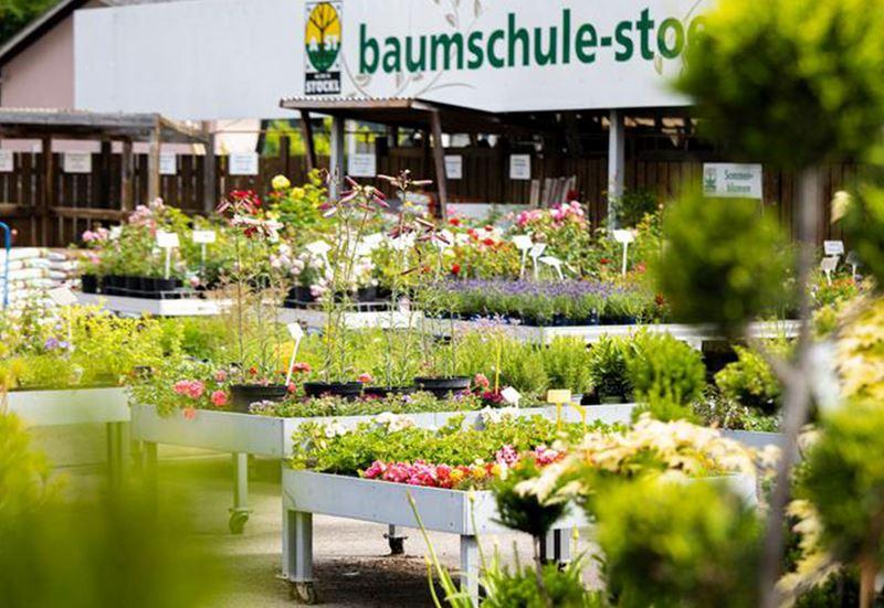 baumschule