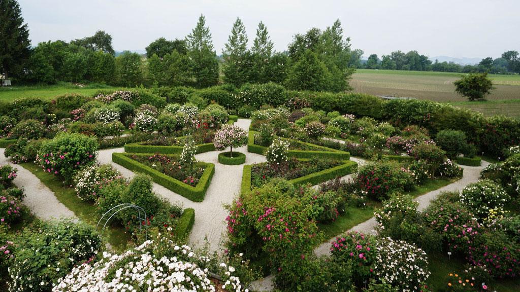 Rosarium