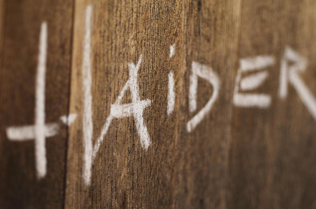 Haider Schriftzug
