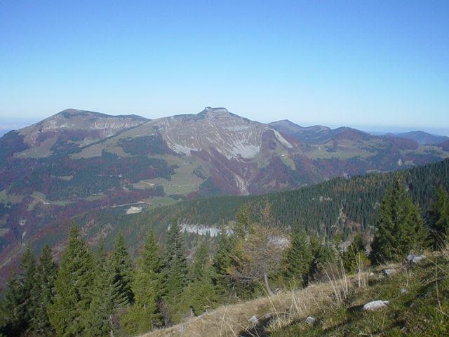 Schlenken