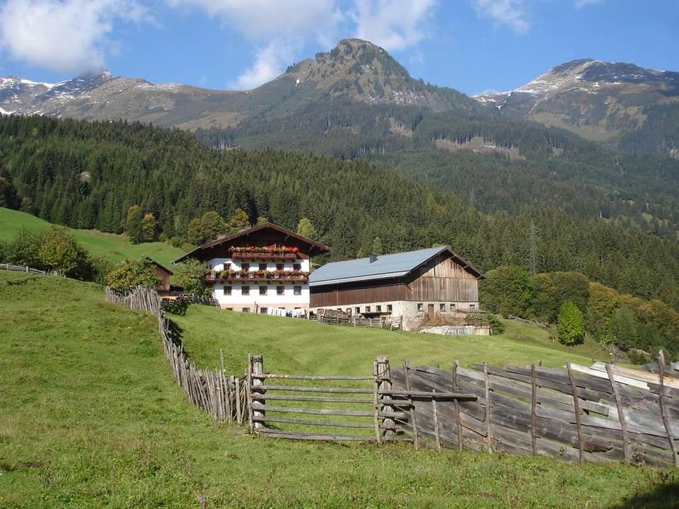 Maurachgut-Biohof-Hofgastein-Haus-Sommer