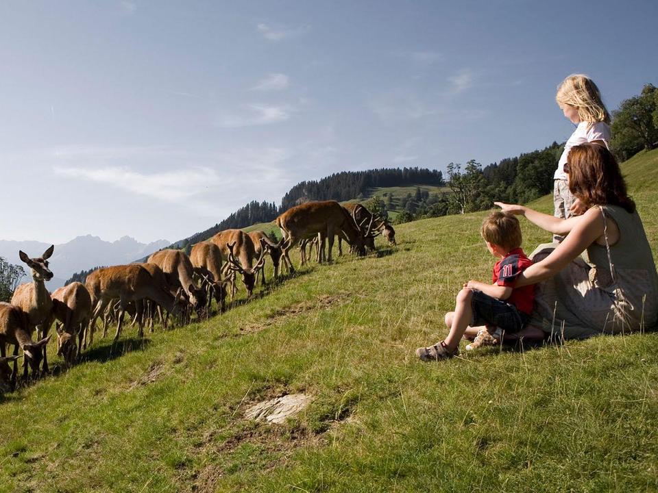 Wildpark Aurach