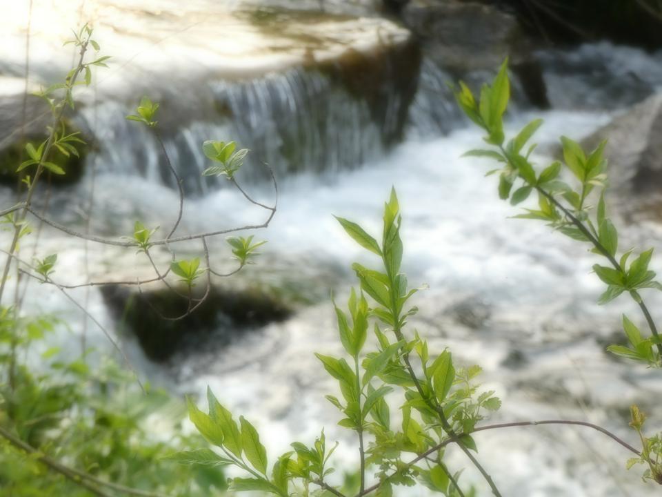 P1650100