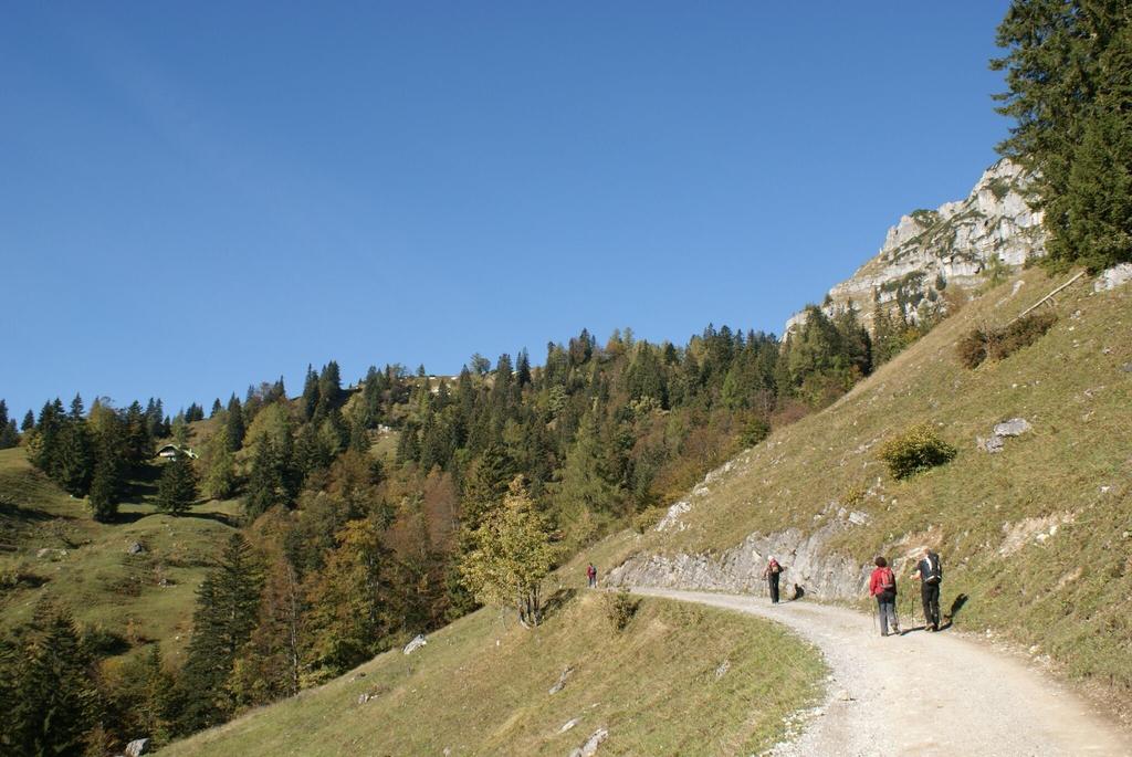 Über die Forststraße auf die Grabneralm