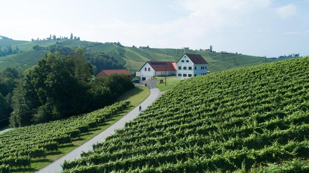 Weinschmiede Weingarten Weinland