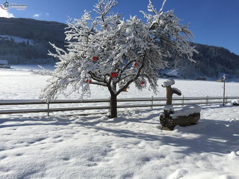 Weihnachtslandschaft