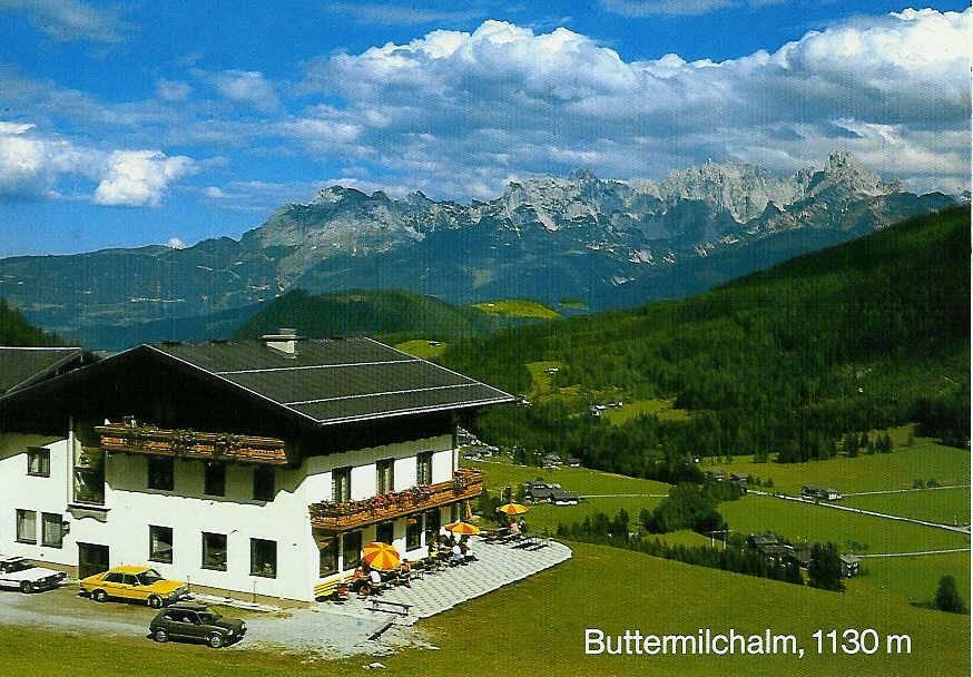 Buttermilchalm