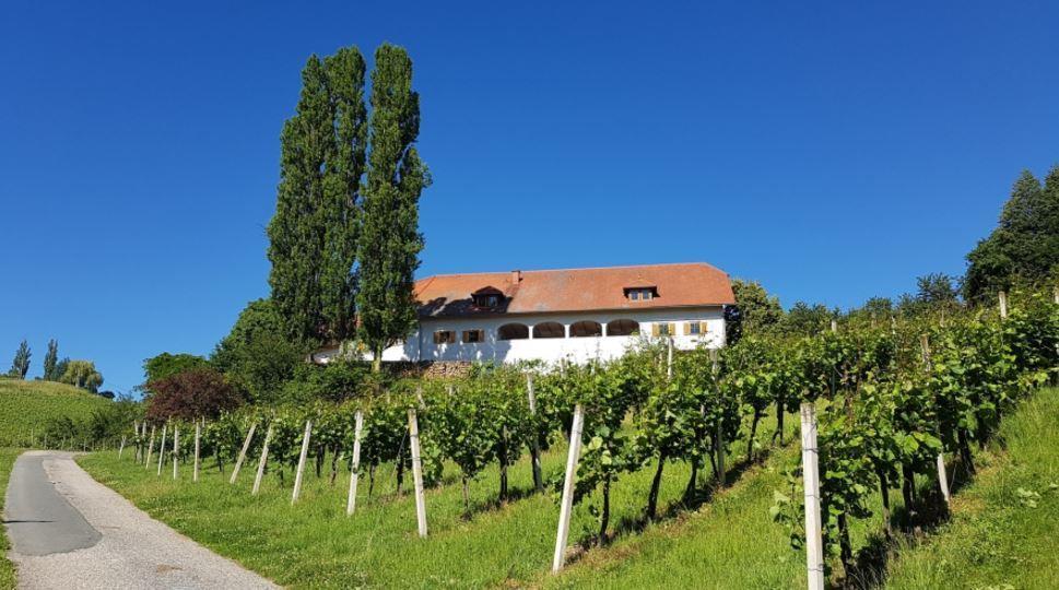 Lindenburg