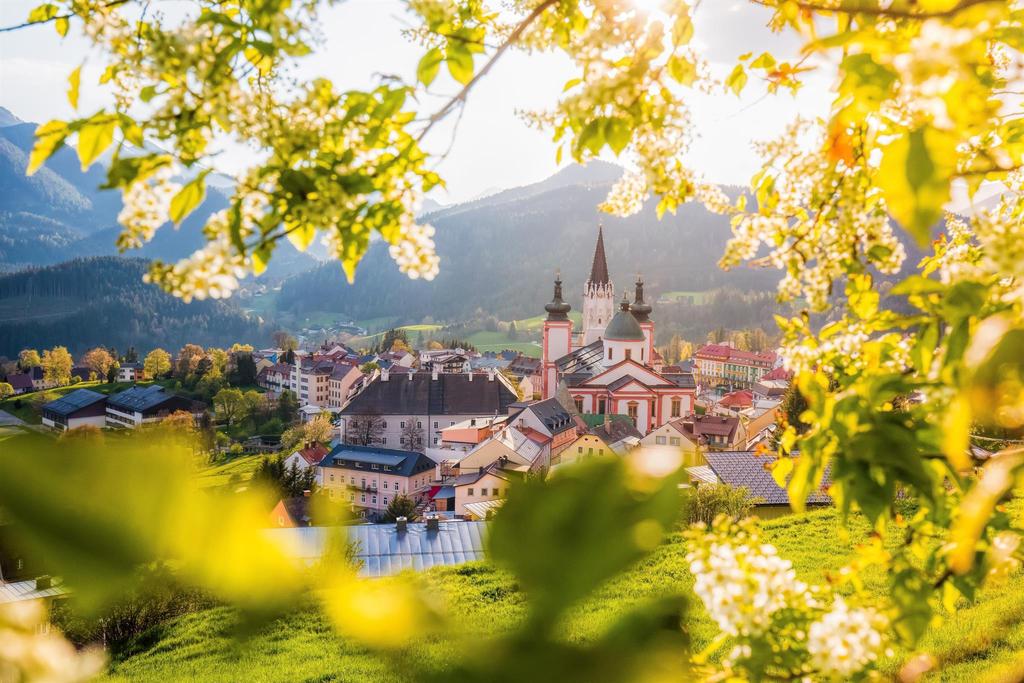 Basilika im Frühling