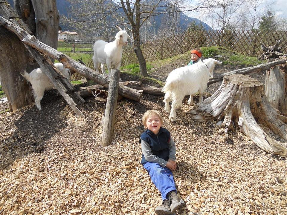 Tier- und Spielpark