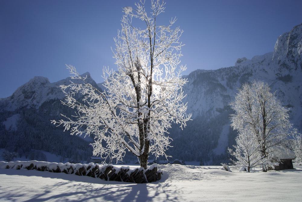 Winterliche Au