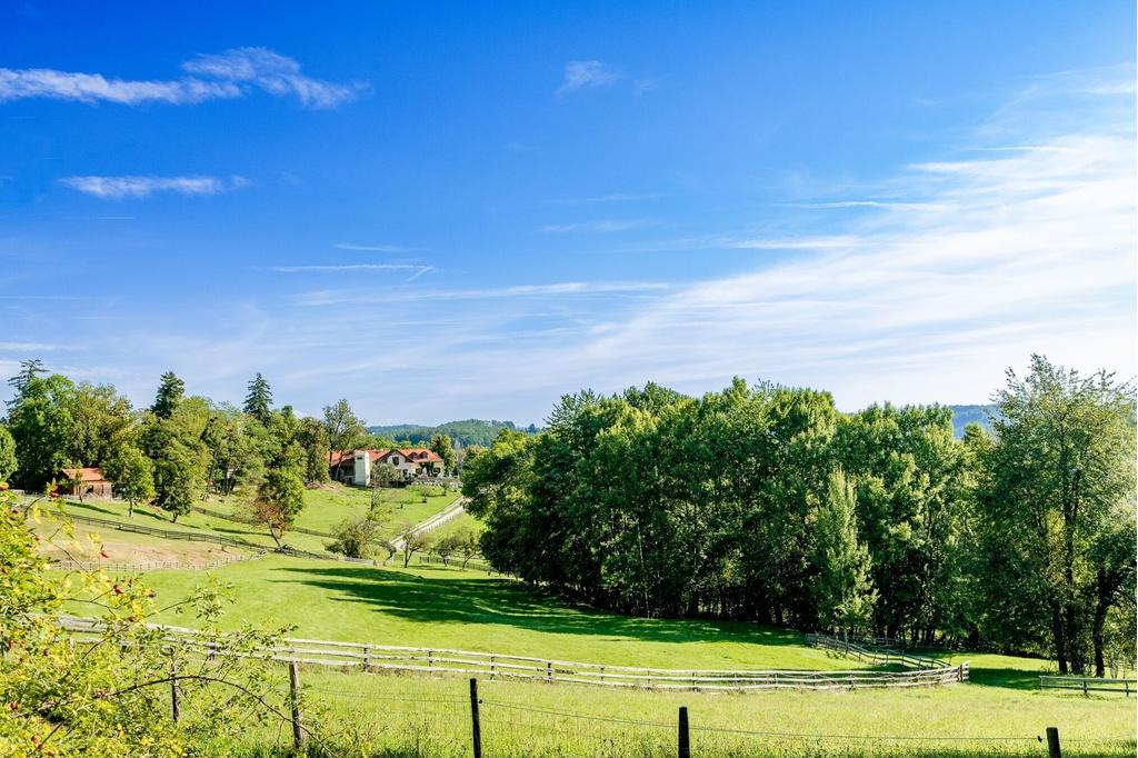 Unterwegs am Lustbühel
