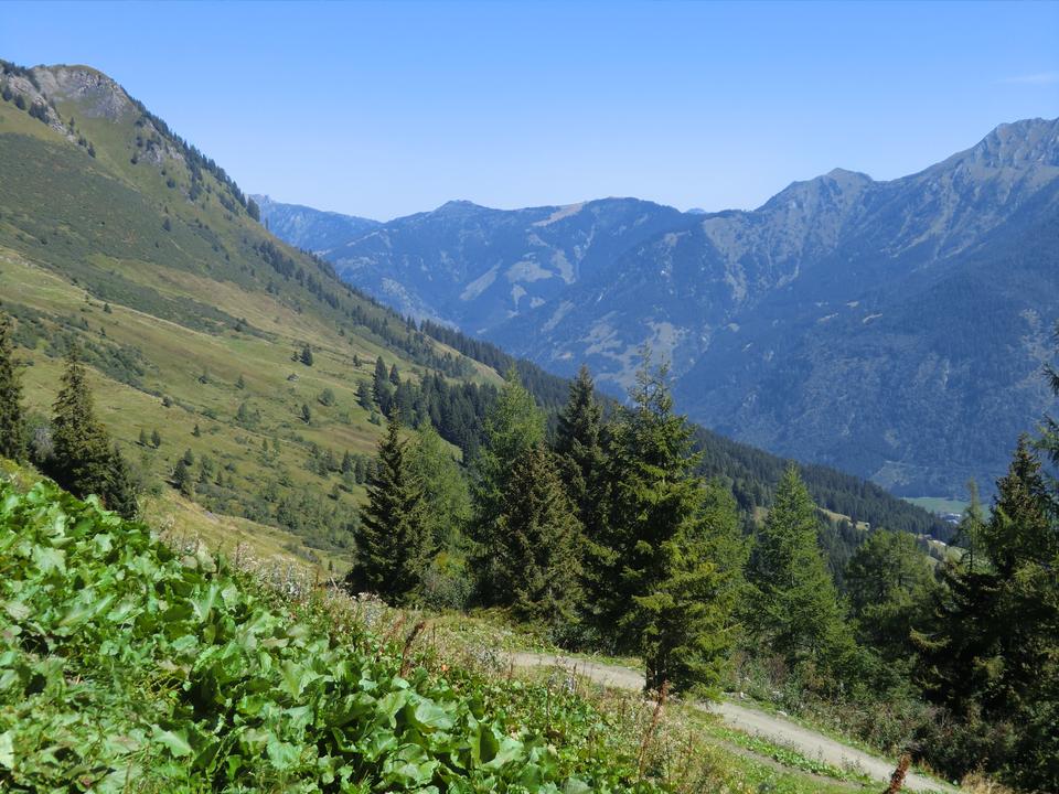 Panoramaweg