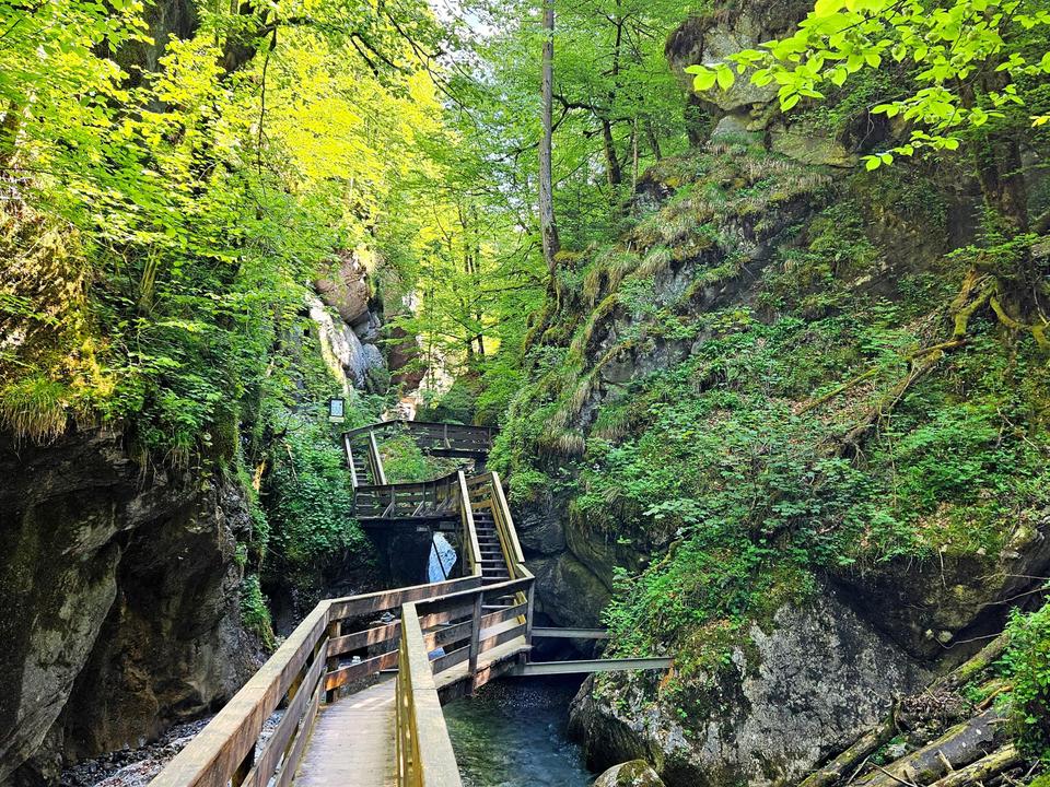 Seisenbergklamm - das Naturdenkmal