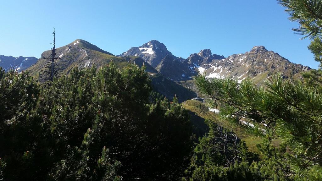 Bärfallspitze - Höchstein - Zwiesling