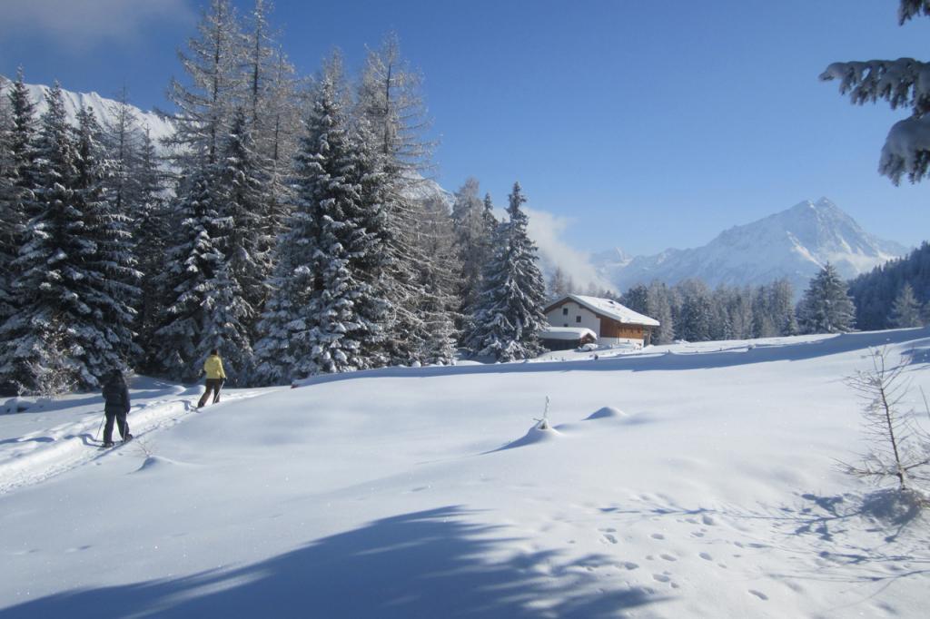 Wurzbergalm