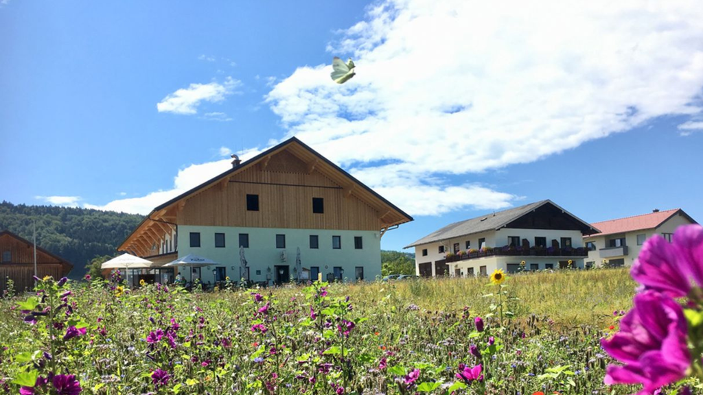 Gasthof Kreuzer in Attersee am Attersee