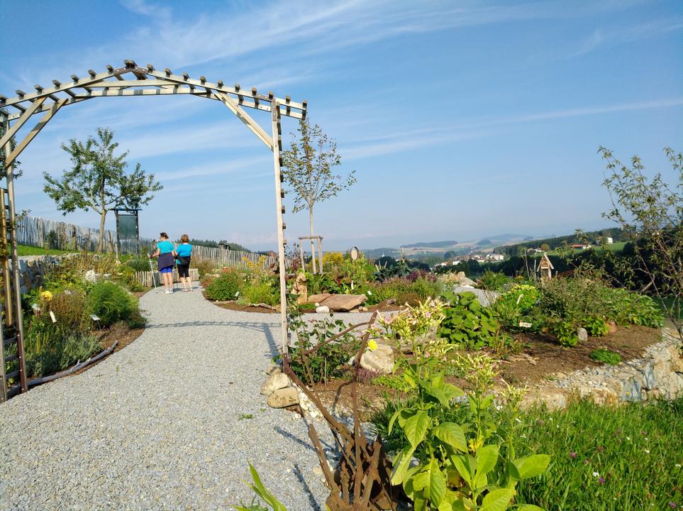 Kurs \"Schnittarbeiten im Sommer\" im Obsterlebnisgarten Lohnsburg