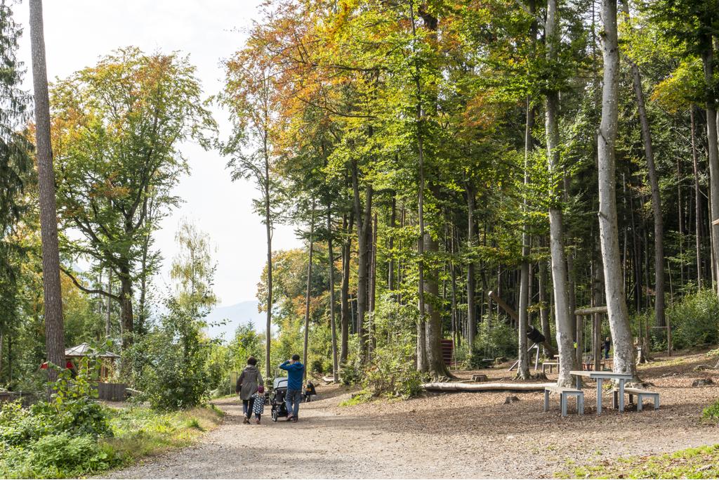 Wildpark Feldkirch