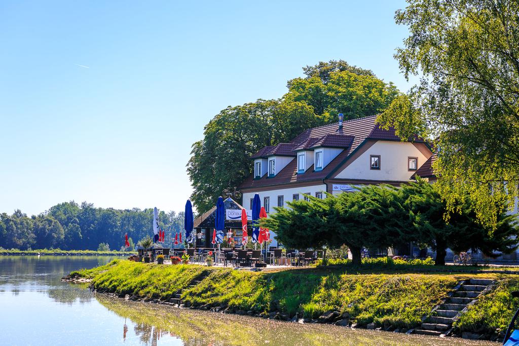 Donauwirt