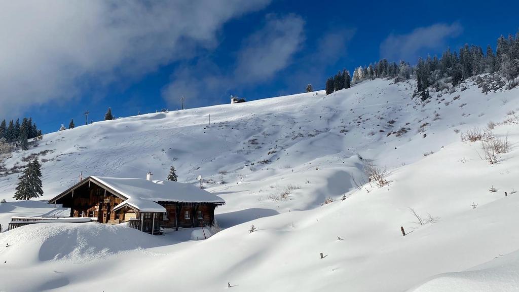 Latschenalm