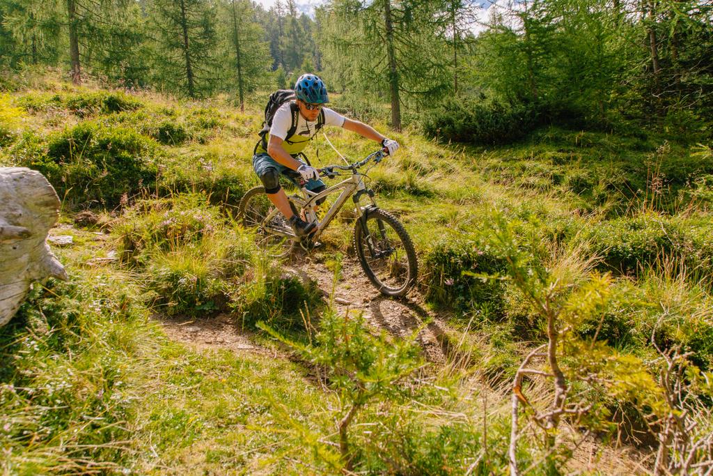 Bike-Trail-Wiese