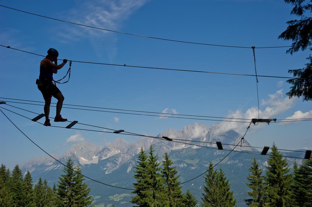 Kletterwald