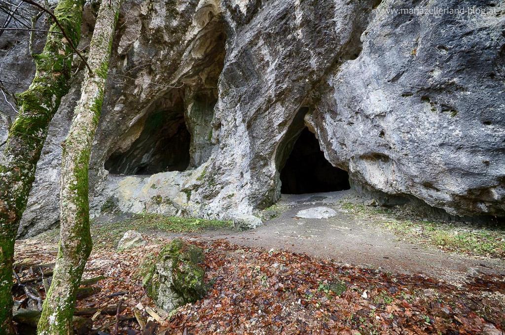 Hohlensteinhöhle