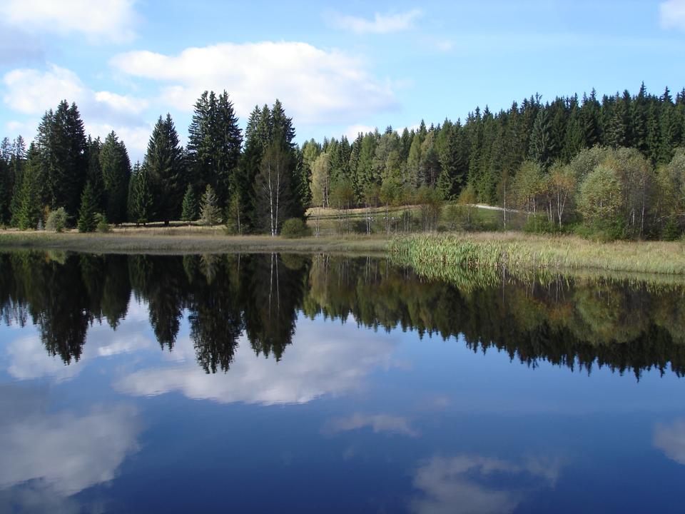 Naturbadeteich Rosenhof