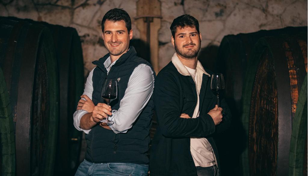 Michael und Andreas Domb