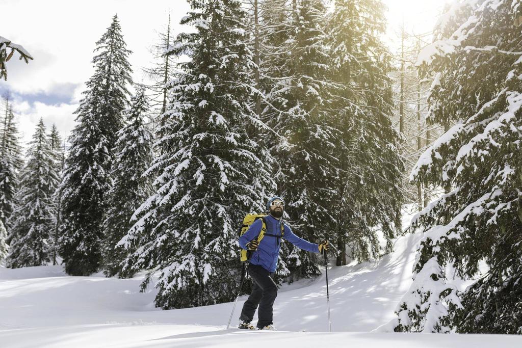 PyhrnPrielSkitourWaldTiefschnee_PyhrnPrielTourismusGmbHFlorianLierzer