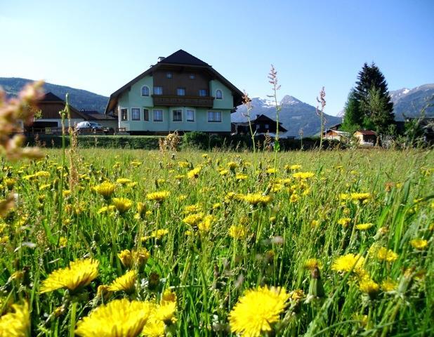 Bogensperger Sommerbild