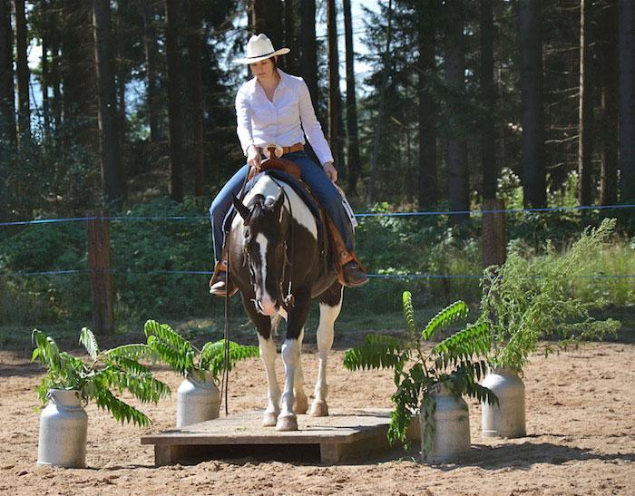 Riegler Stable
