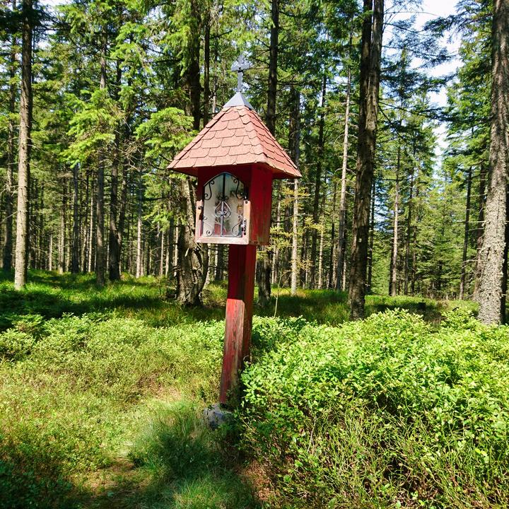 Rotes Kreuz_Alpl_Oststeiermark