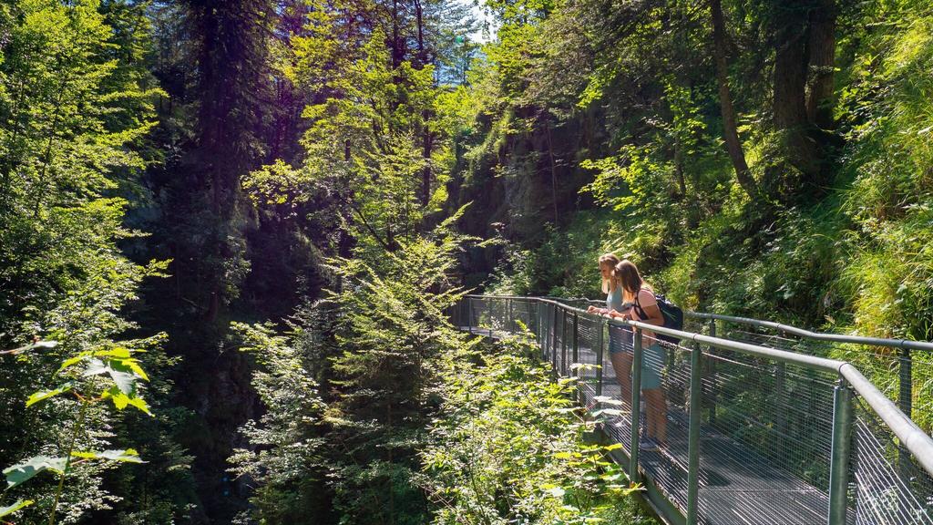 Leutascher Geisterklamm mit Blick Richtung Mittenwald.jpg