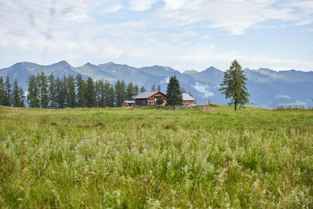 Alpe Rona auf dem Hochplateau Tschengla