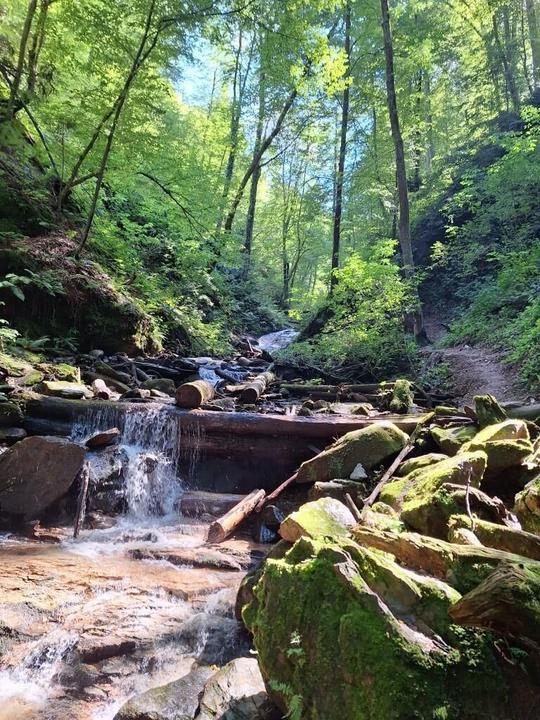kleiner Wasserfall Klamm