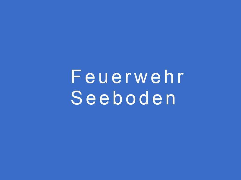 Feuerwehr Seeboden