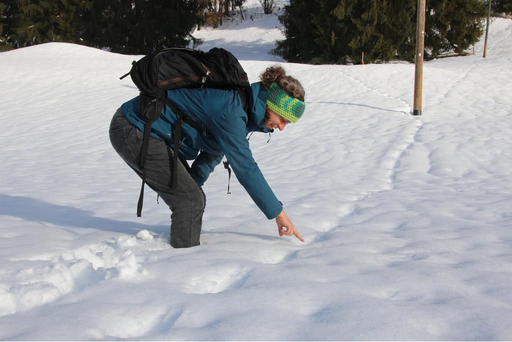 Winterwanderung LBV Hindelang