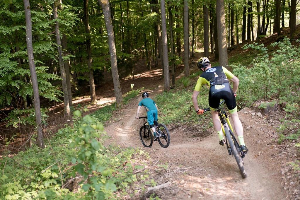 MTB Linz_Roadlberg_1