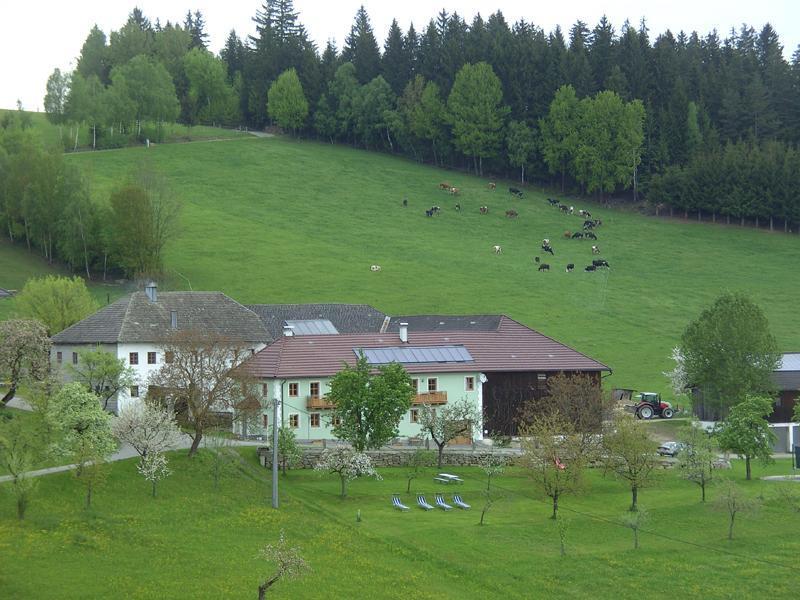 Biohof Stadlbauer im Sommer
