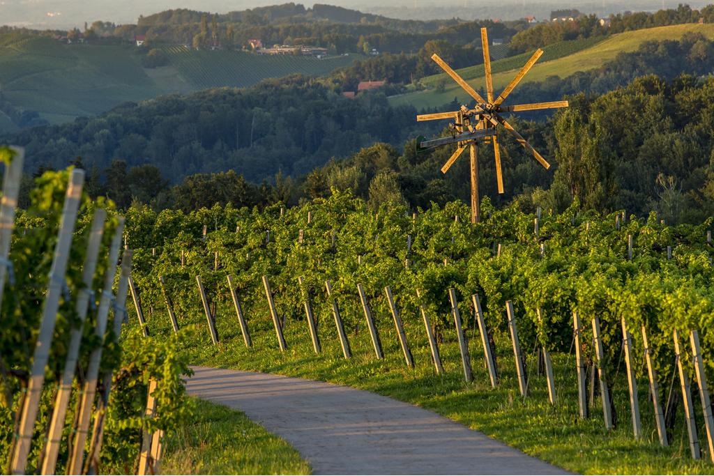 Südsteirische Weinstraße