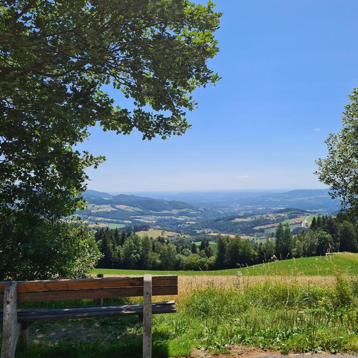 Schloffereck Aussichtpunkt Bank_NUP Pöllauer Tal_Oststeiermark
