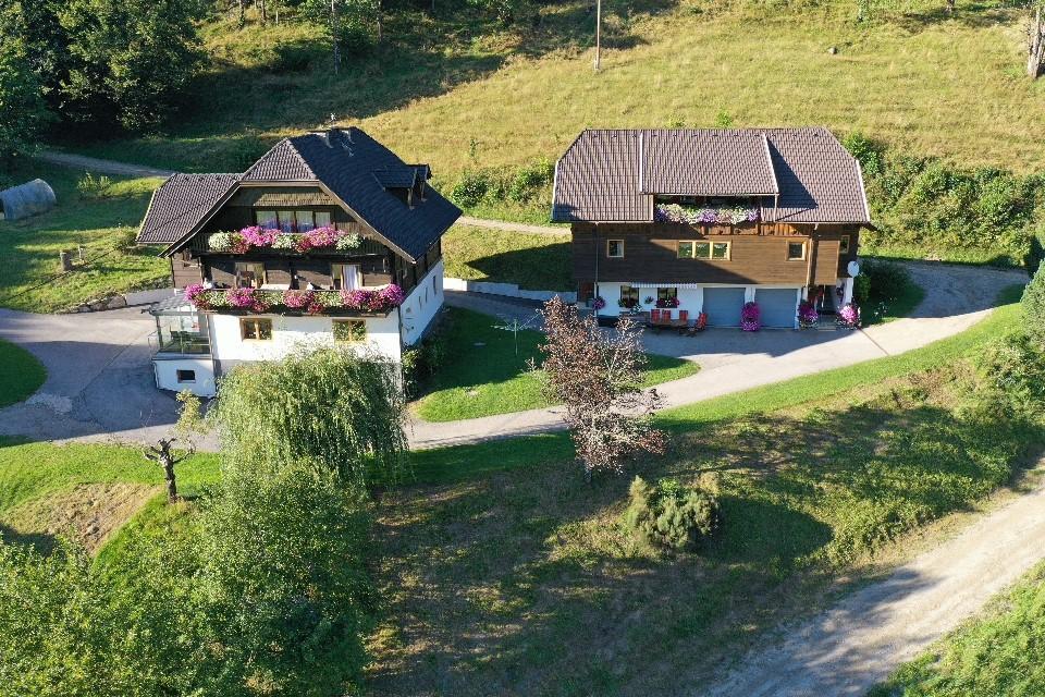 Haus
