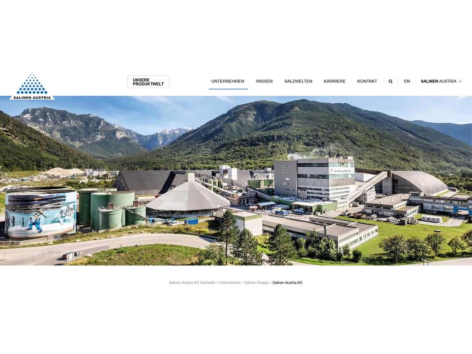 Salinen Austria Homepage