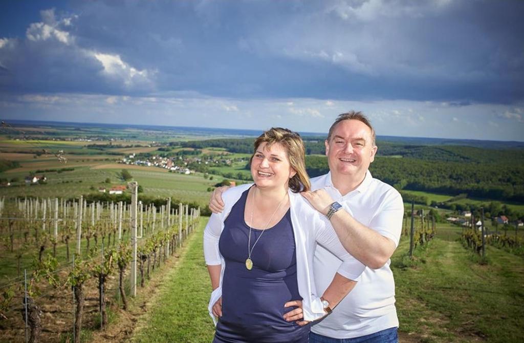 Im Weingarten am Eisenberg