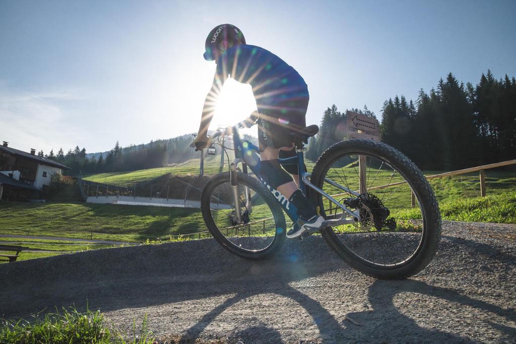 Bike Friday