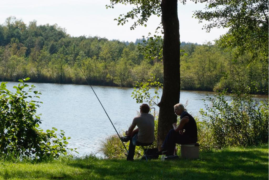 Holzöstersee Angeln