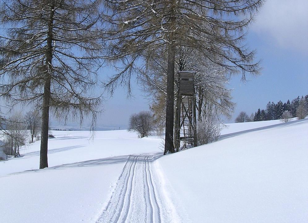 Panorama-Loipe der TraumArena